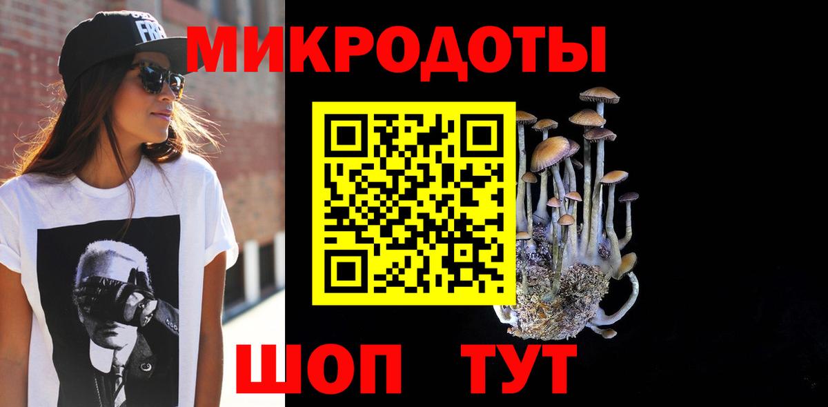 Псилоцибиновые грибы Psilocybe  Вход с VPN  Лабытнанги 